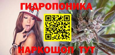 стафф Обнинск