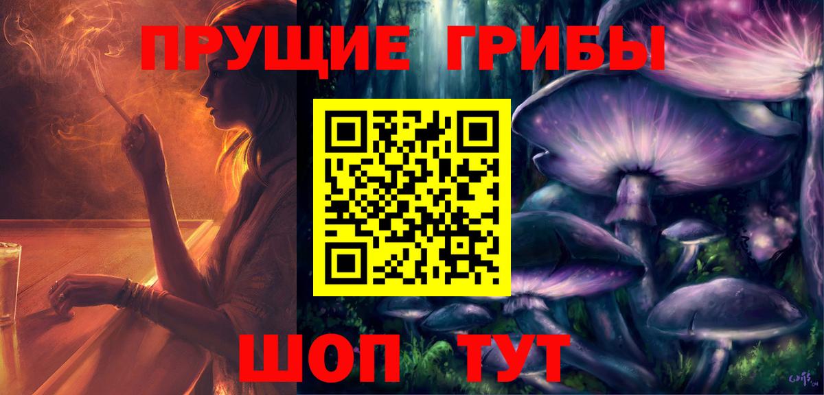 Псилоцибиновые грибы Cubensis Реутов